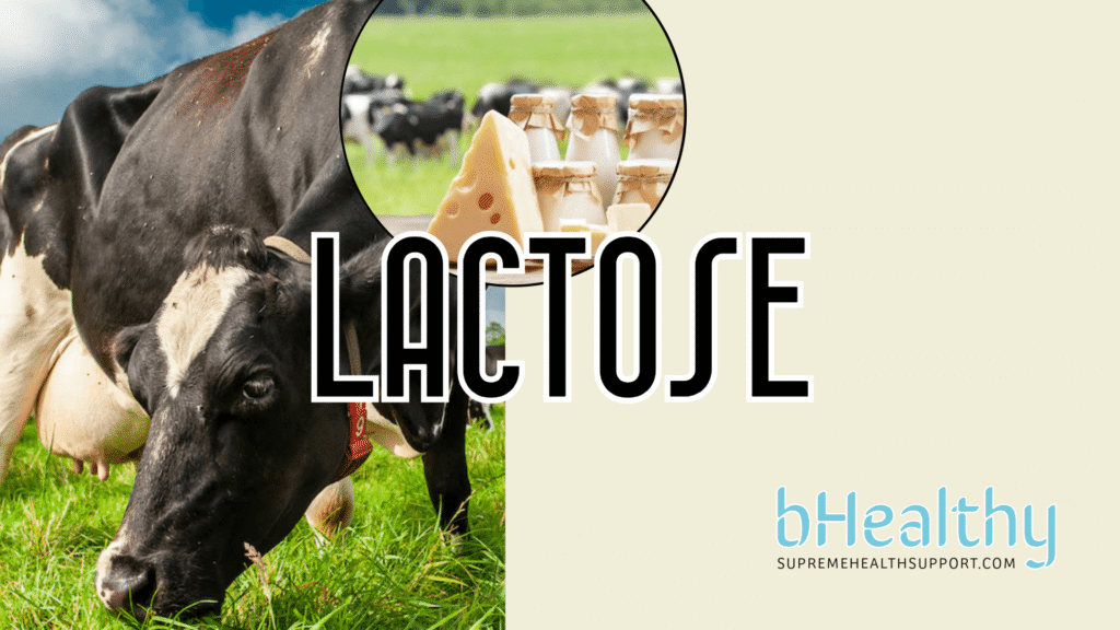 lactose-kaas-whey-bhealthy-supremehealthsupport