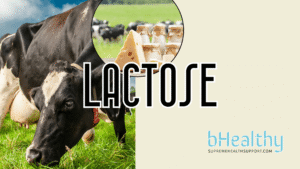 lactose-kaas-whey-bhealthy-supremehealthsupport