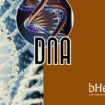 dna-4gold-superhlth-analyse