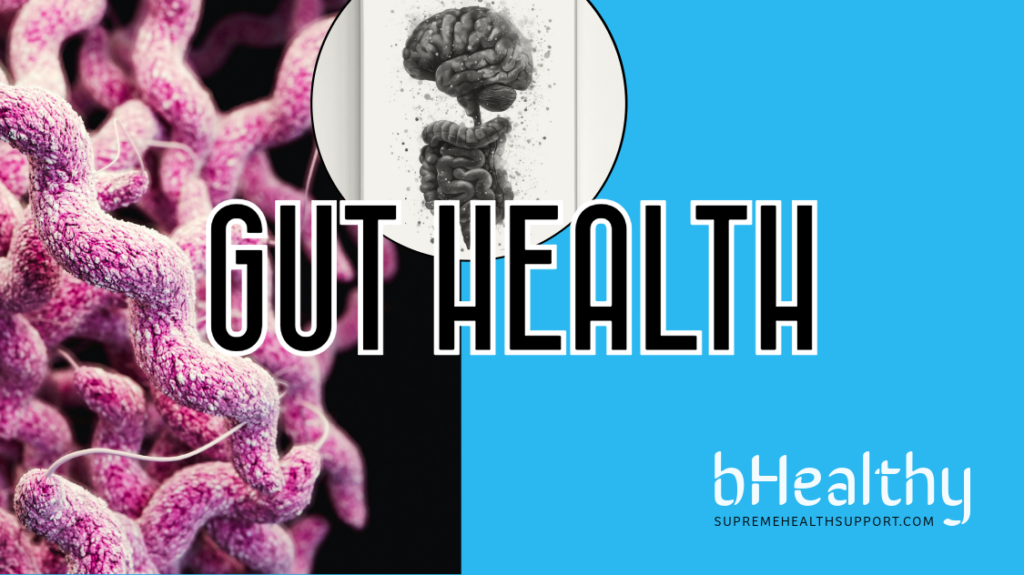 gut-health-bhealthy-gutcultured-supremehealthsupport.com