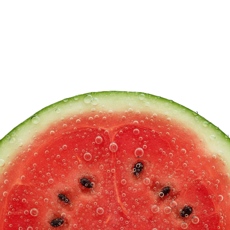 SALTE Elektrolyten Watermelon – Suikervrije elektrolyten met watermeloensmaak (30 zakjes)